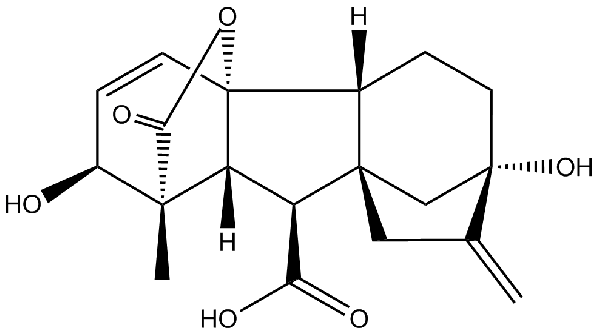 赤霉素GIBBERELLIC ACID，居然有這么神奇？